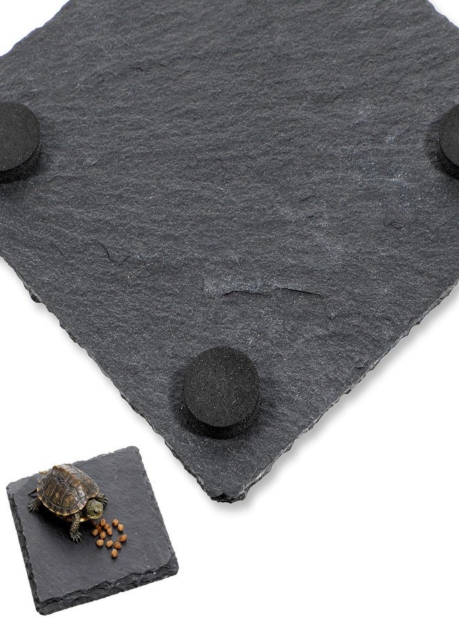 Alrhso Turtle Basking Platform Slate for Reptiles 3.9 X 3.9 Inch Tortoise Basking Stone for Reptiles Bearded Dragon Accessories for Lizards, Chameleons, Geckos, Turtles, Reptile - Image 5